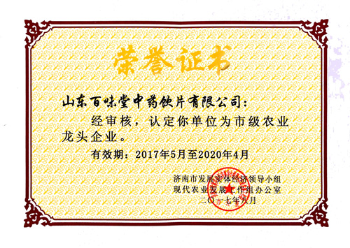 17年市級龍頭企業